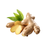 GINGER